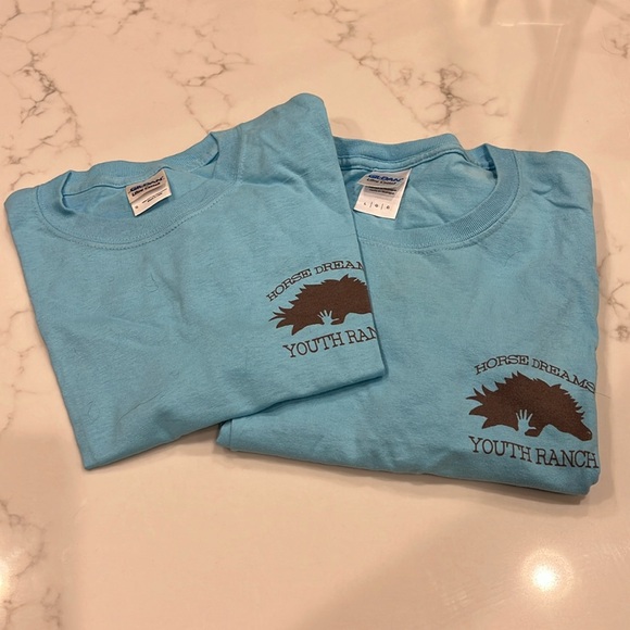 NEW Two (2) Horse Dreams Unisex T-Shirts | Sizes Small & Large | Blue - Picture 1 of 8